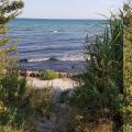 20190824_170349.jpg